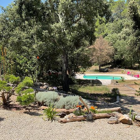 Villa Bleucassis Taradeau Dış mekan fotoğraf
