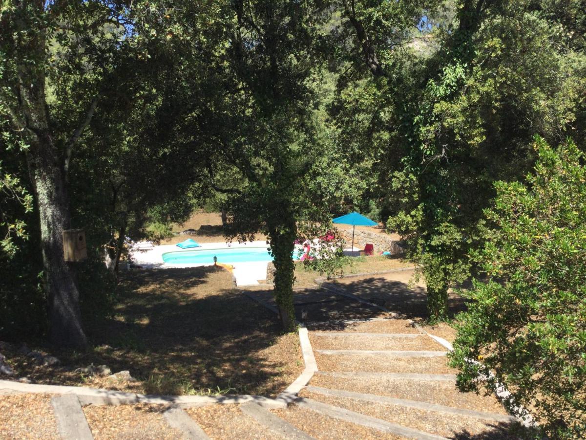 Villa Bleucassis Taradeau Dış mekan fotoğraf